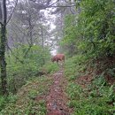 하화도 꽃섬길 민박 이미지