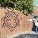 18개월 아기와 서울대공원 오후 입장 후기 | 준비물, 아기 밥 , 관람동선 팁