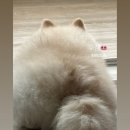 이한 PC | 메리 추석 전야제
