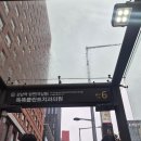 뮤즈의원 | 강남역 피부과 뮤즈의원 승모근 보톡스 200유닛 후기