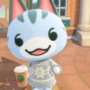 사이다 짐 이미지