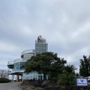 코알라카페 | 뷰좋은 서귀포 카페추천 코우코알라 내돈내산 후기