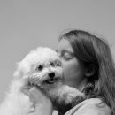 현대 강아지＆고양이 이미지