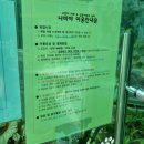 신안초 후문 | 경남 김해 장유 고양아카페 나비야 고양이 실컷 보고옴