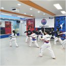 효 태권도 이미지