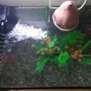 수경이네 세탁소 이미지