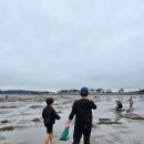 엘플레이트풀빌라 이미지