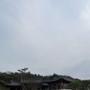 더포레스트 | 아이랑 경기도 화성 대형카페 더포레스트퀸 내돈내산 후기