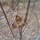 새들농장 이미지