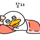 프리티파우 이미지