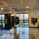 팀엑스복싱