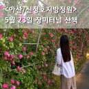 마로면사무소공중화장실 | 아산 신정호 지방정원 5월 23일 장미터널 장미 개화상황 + 저녁산책