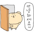 대구옛날잔치국수 이미지