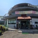 해안도시 | [공지] [인천/맛집] 강화도 애견동반 장어 맛집 해안도시 내돈내산 후기