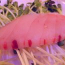 참치아울렛 이미지