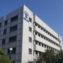 2024를 기록하다 15 : 알파지오메트리, 주치의, 웰다잉문화운동