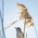 중앙스포츠센타 이미지