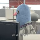 2024년 11월 모음.zip