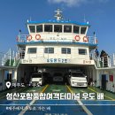 성산포항여객터미널 | 제주에서 우도 가는 성산포항여객터미널 배 시간 면세점