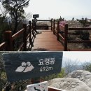 팔공산녹색길 숲길 2코스 이미지