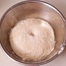 팬브레드 이미지