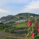 오아시스 무인 호텔 이미지