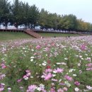 교천농장 네이버블로그