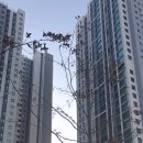 주안부동산공인중개사사무소 이미지