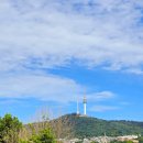 회를품은오리 | 삼각지 머구리야 🌊 숙성회, 해물칼국수,낮술까지 대만족한 생일파티 후기