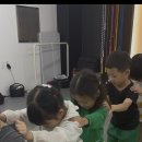 늘품태권도 이미지