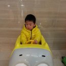 대명리조트스포츠센터 이미지