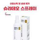 레푸스 이미지
