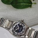 양지-3145 이미지