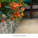 서상동123 이미지