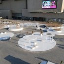 대구시, 박정희 광장·공원 2곳 만든다…동상 2곳도 세우기로 이미지