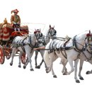 제주경마장 말관리사 노동조합 | 제주경마장 노조간부 돈 빼돌려....해양수산부 보조금 부정