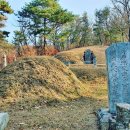 증이조참판 이민장 선조 묘소, 백강상국 신도비, 포천 음현리 이미지
