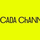시카다(cicada) 이미지