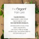 마일드헤어 이미지