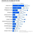 반려동물 이동서비스 이미지