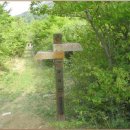 정기코스 이미지