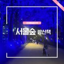 숲내음공원 | 서울숲 밤 산책 야경 산책 코스