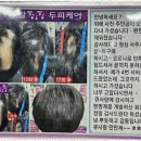 큐사랑아중교점 | 전주두피관리 두피와 머리카락 모두 살리는 큐사랑 아중교점 리뷰