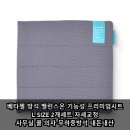 밸런스온 기능성 프리미엄시트 L SIZE 2개세트 자세교정 사무실 쿨 의자 무하중방석 내돈내산 리뷰 후기