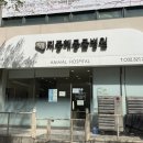 지중해동물병원 | 부천 지중해동물병원 강아지 건강검진 후기