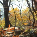 GR(장성군)-[못재로]-하-7 | 장성 갈재 누정(1)