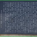 충신의사단비 이미지