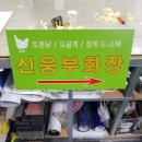 신흥농장 이미지