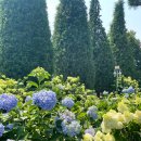 유나네농원 이미지