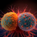 41590-01-01-19 이미지